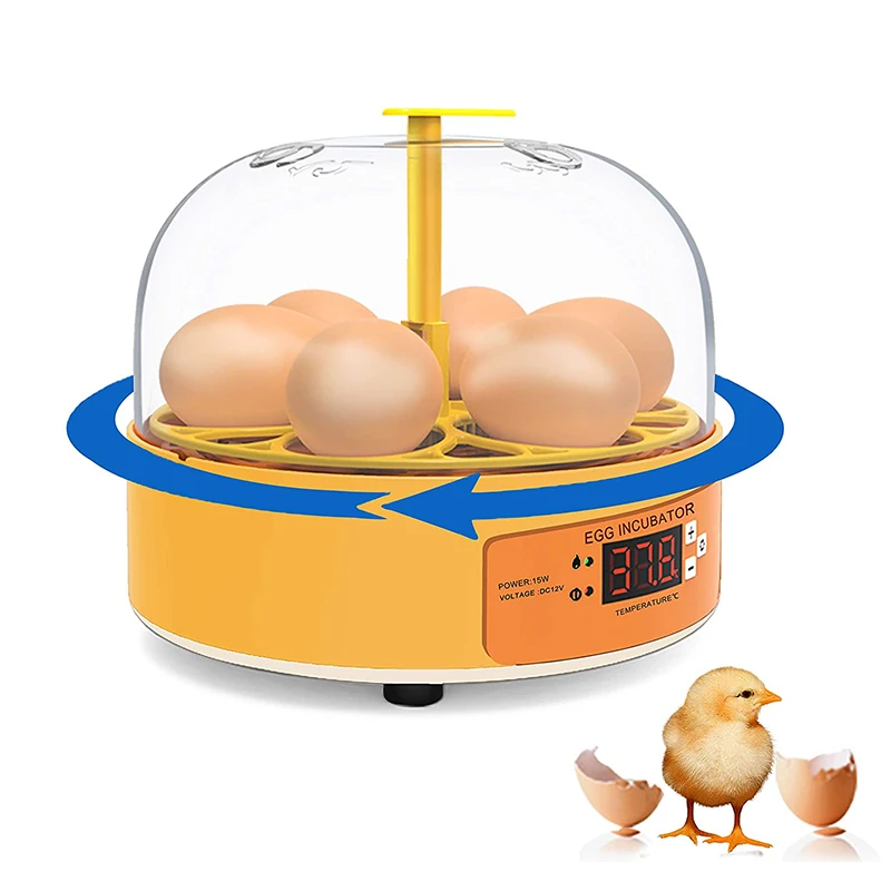 Breeding Incubator Chicken Duc - Lab Incubator recension och pris