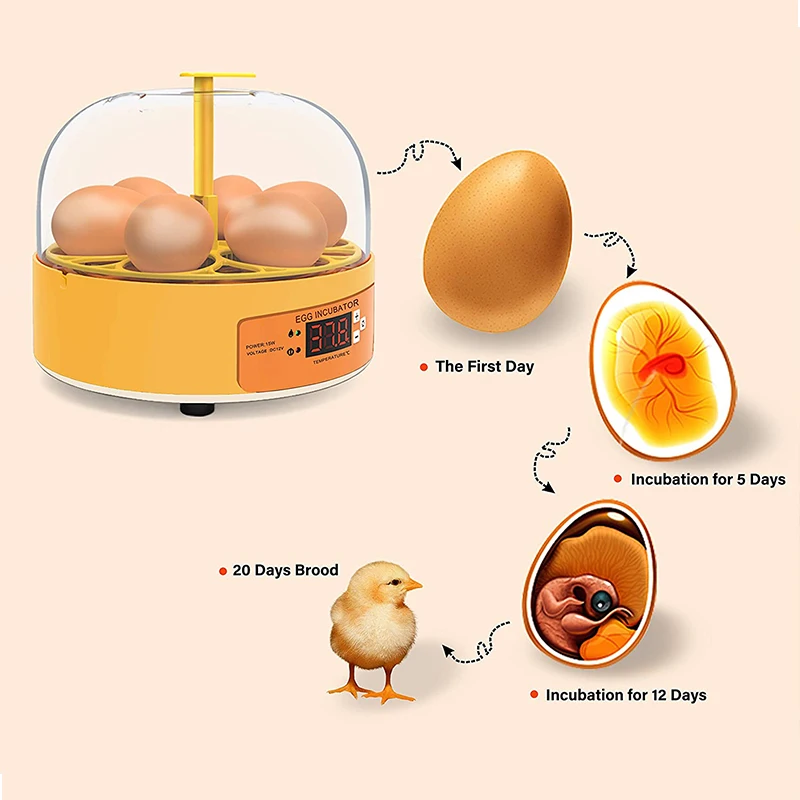 Breeding Incubator Chicken Duc - Lab Incubator recension och pris