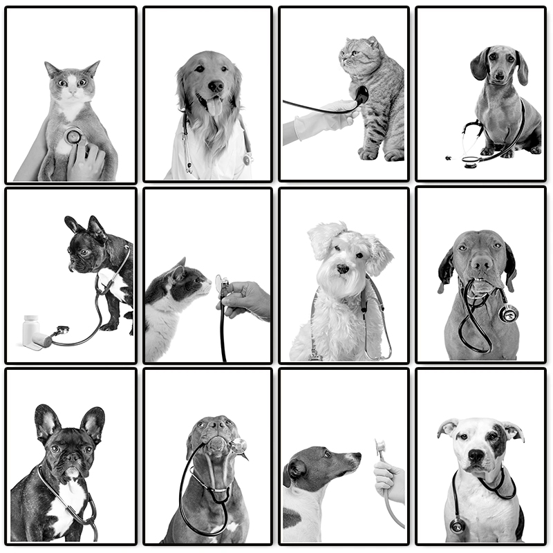 Animal Doctor Vet Med Poster D - Stethoscope recension och pris